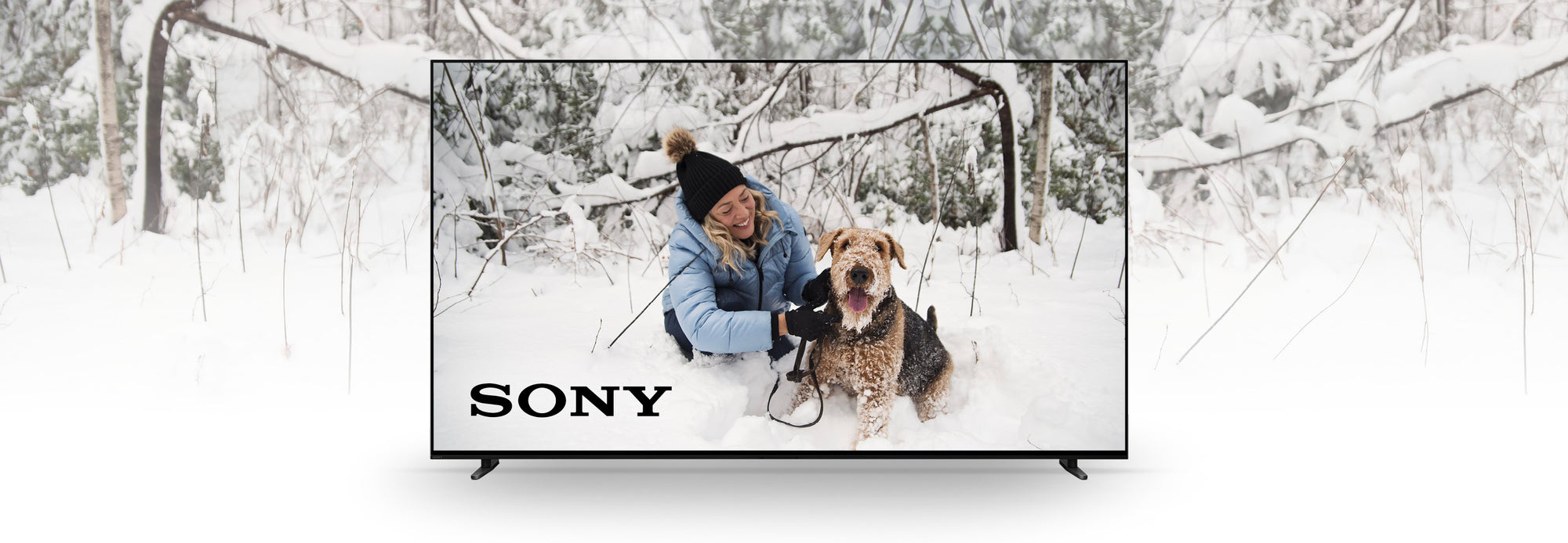 Sony | SONXPLUS Chambly